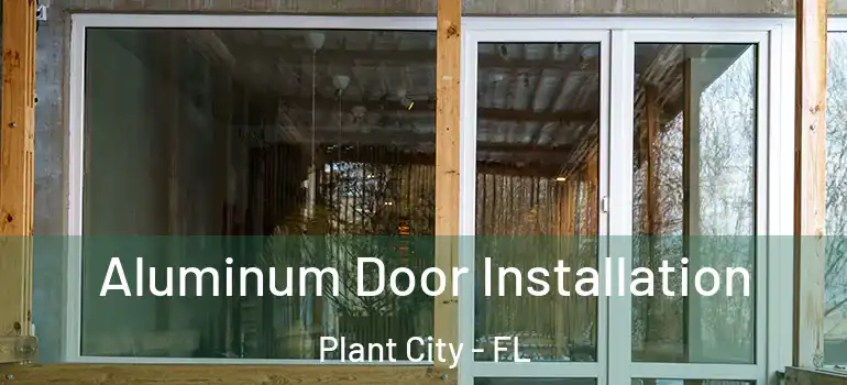 Aluminum Door Installation Plant City - FL