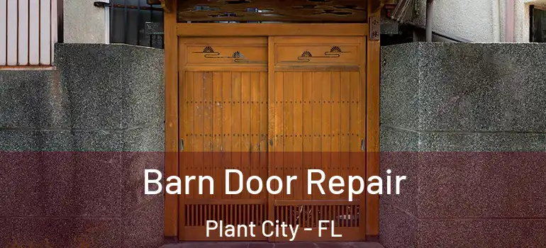  Barn Door Repair Plant City - FL