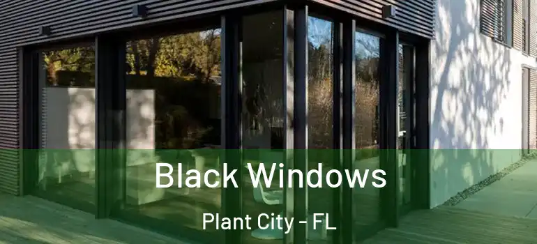  Black Windows Plant City - FL