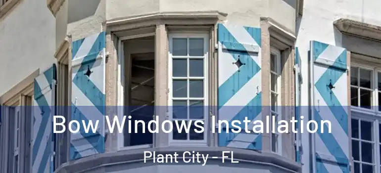  Bow Windows Installation Plant City - FL