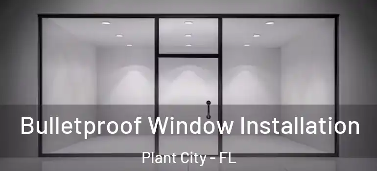  Bulletproof Window Installation Plant City - FL