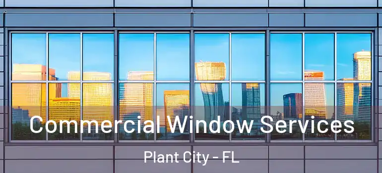  Commercial Window Services Plant City - FL