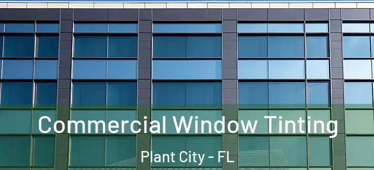  Commercial Window Tinting Plant City - FL