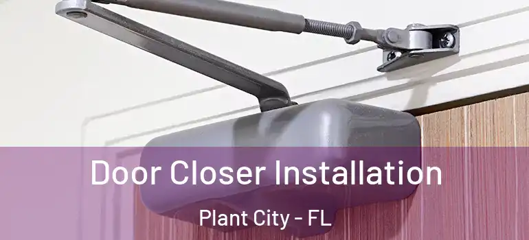  Door Closer Installation Plant City - FL
