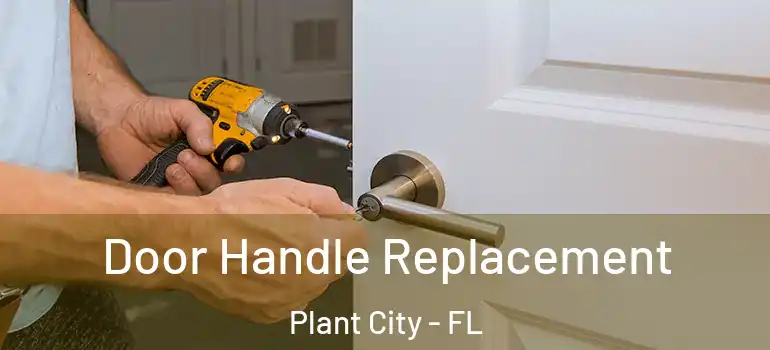  Door Handle Replacement Plant City - FL