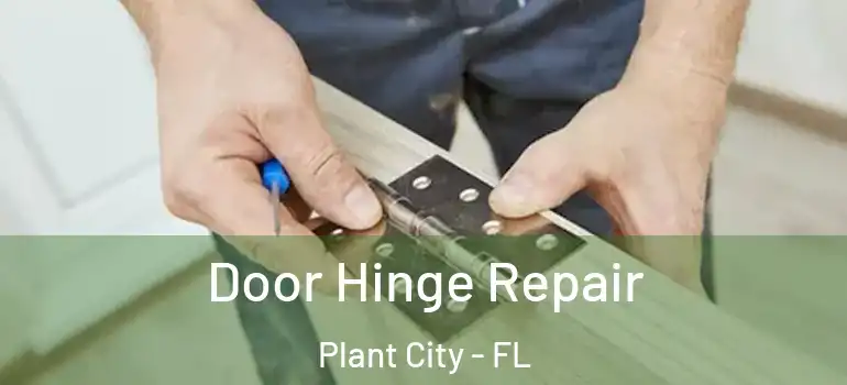  Door Hinge Repair Plant City - FL