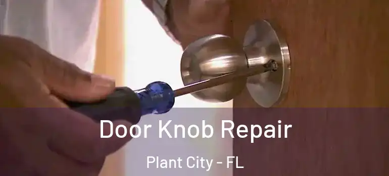  Door Knob Repair Plant City - FL