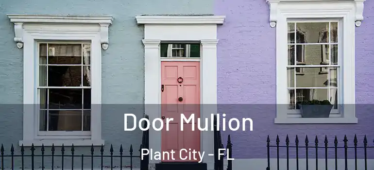  Door Mullion Plant City - FL