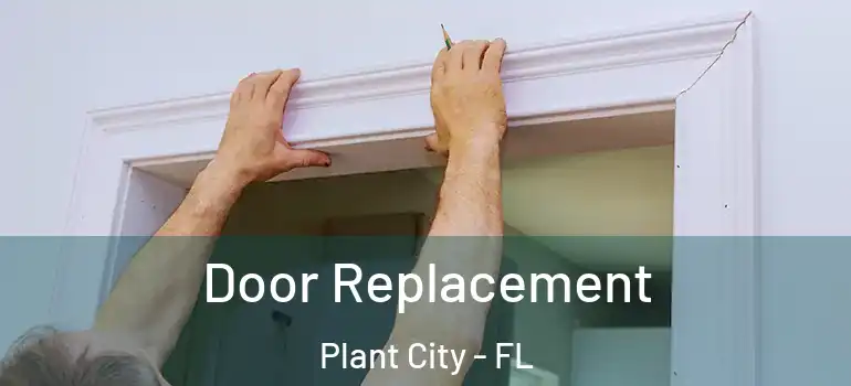  Door Replacement Plant City - FL