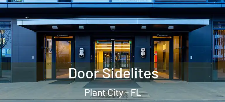  Door Sidelites Plant City - FL