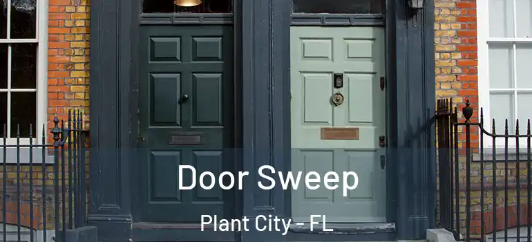  Door Sweep Plant City - FL