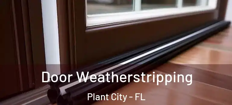  Door Weatherstripping Plant City - FL