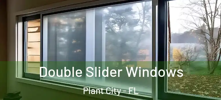  Double Slider Windows Plant City - FL