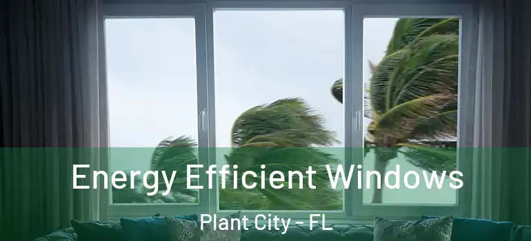  Energy Efficient Windows Plant City - FL