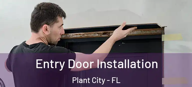  Entry Door Installation Plant City - FL
