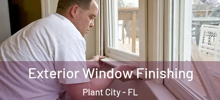  Exterior Window Finishing Plant City - FL