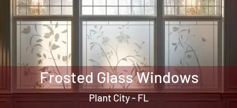  Frosted Glass Windows Plant City - FL