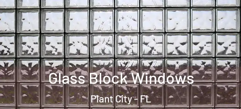  Glass Block Windows Plant City - FL
