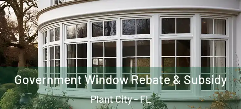 Government Window Rebate & Subsidy Plant City - FL