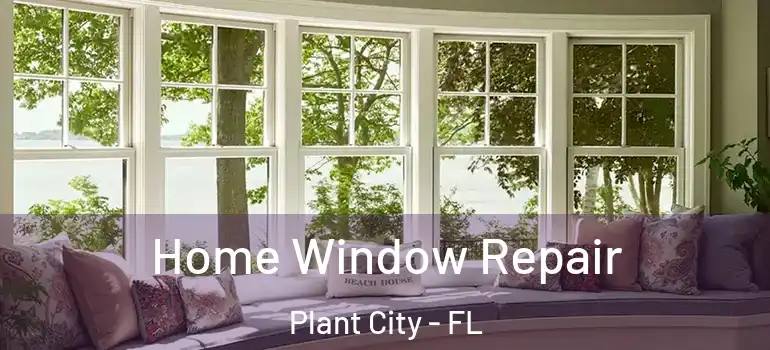  Home Window Repair Plant City - FL