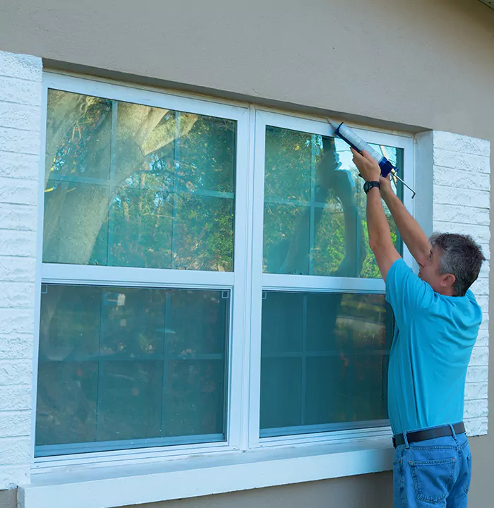 Modern Windows in Plant City, FL