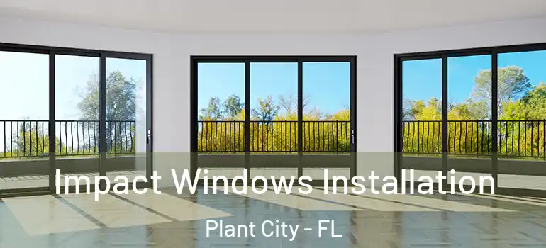  Impact Windows Installation Plant City - FL