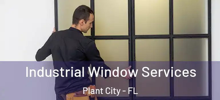  Industrial Window Services Plant City - FL