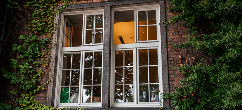 Energy Efficient Wood Windows in Plant City, FL