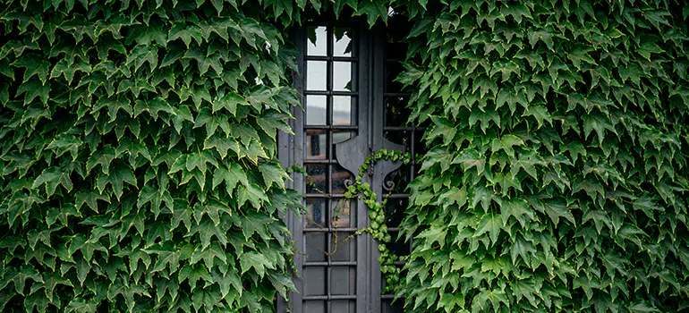 Garden Gate Repair in Plant City, FL
