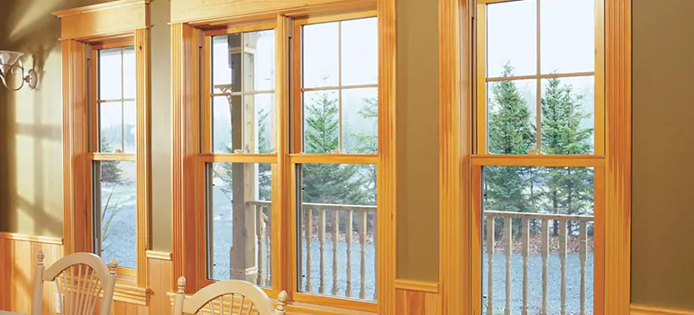 Government Incentives For Replacement Windows in Plant City, FL
