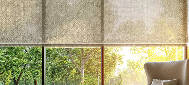 Custom Window Shades in Plant City, FL