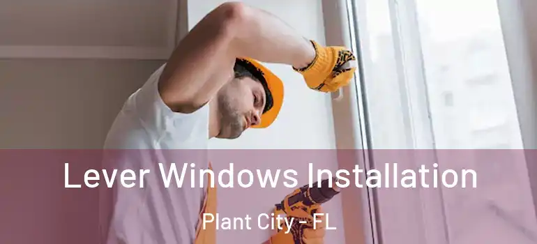  Lever Windows Installation Plant City - FL