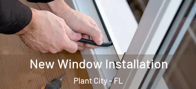  New Window Installation Plant City - FL
