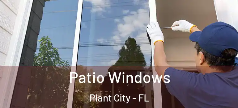  Patio Windows Plant City - FL