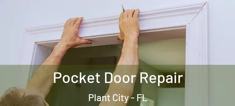  Pocket Door Repair Plant City - FL
