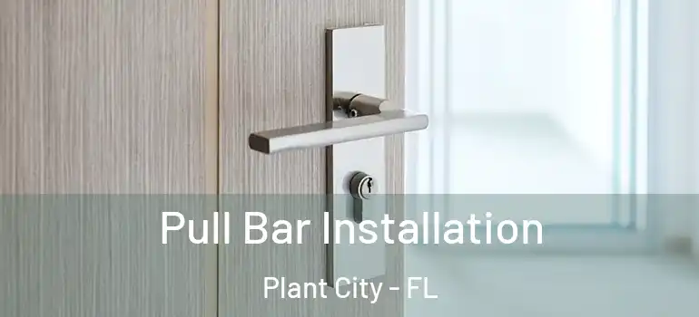  Pull Bar Installation Plant City - FL