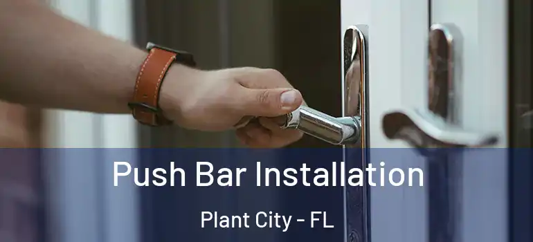 Push Bar Installation Plant City - FL