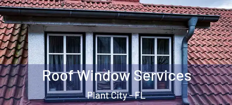  Roof Window Services Plant City - FL