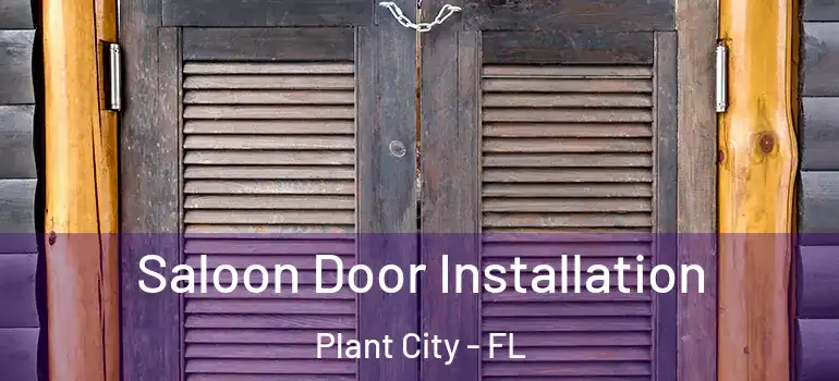  Saloon Door Installation Plant City - FL