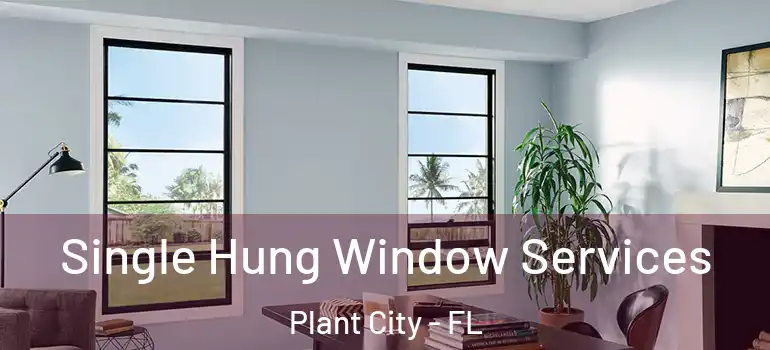  Single Hung Window Services Plant City - FL