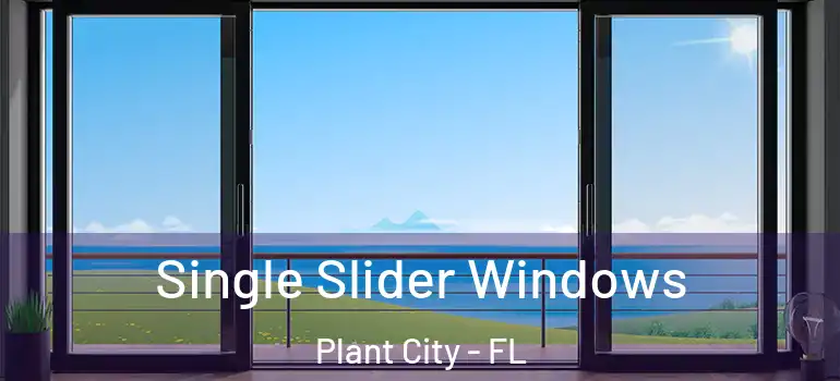  Single Slider Windows Plant City - FL