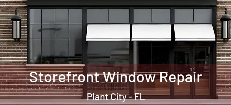  Storefront Window Repair Plant City - FL