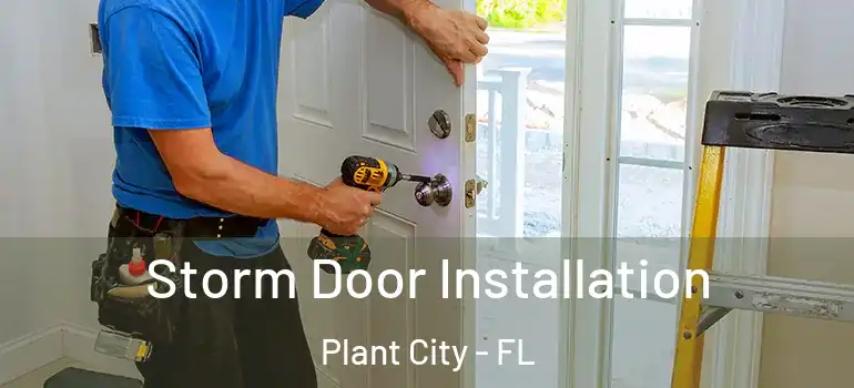  Storm Door Installation Plant City - FL