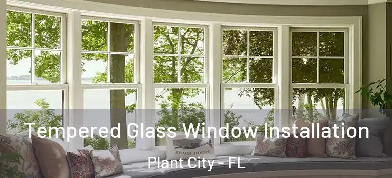  Tempered Glass Window Installation Plant City - FL