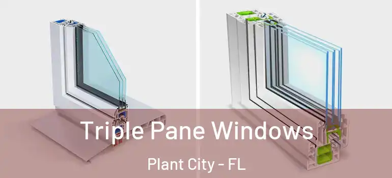  Triple Pane Windows Plant City - FL