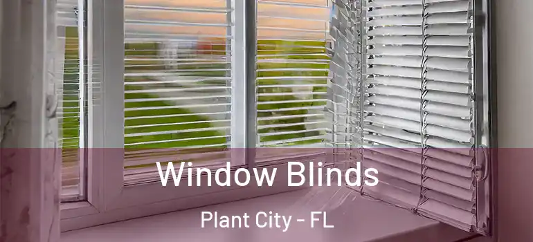  Window Blinds Plant City - FL