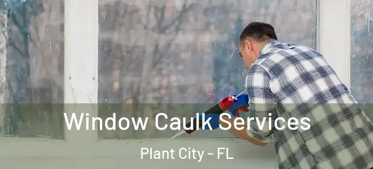  Window Caulk Services Plant City - FL
