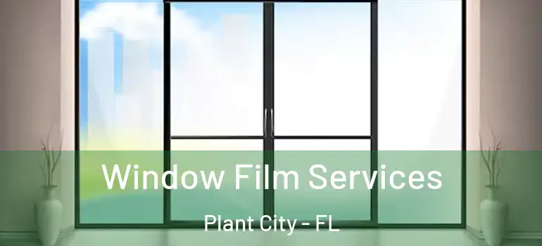  Window Film Services Plant City - FL