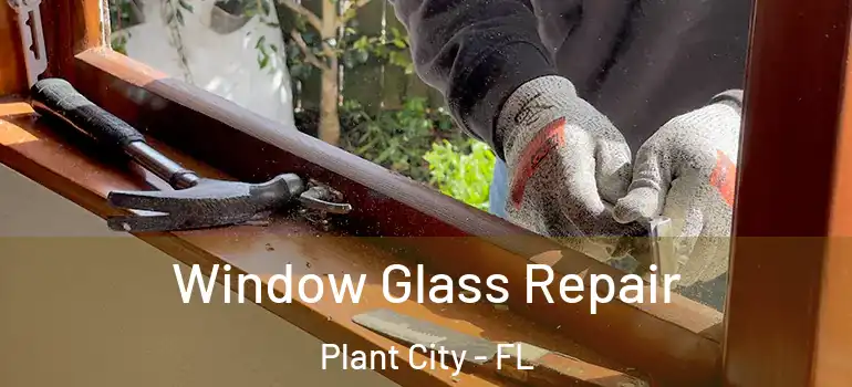  Window Glass Repair Plant City - FL