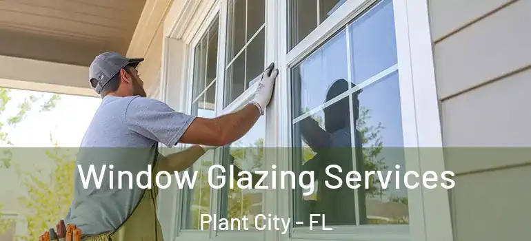  Window Glazing Services Plant City - FL